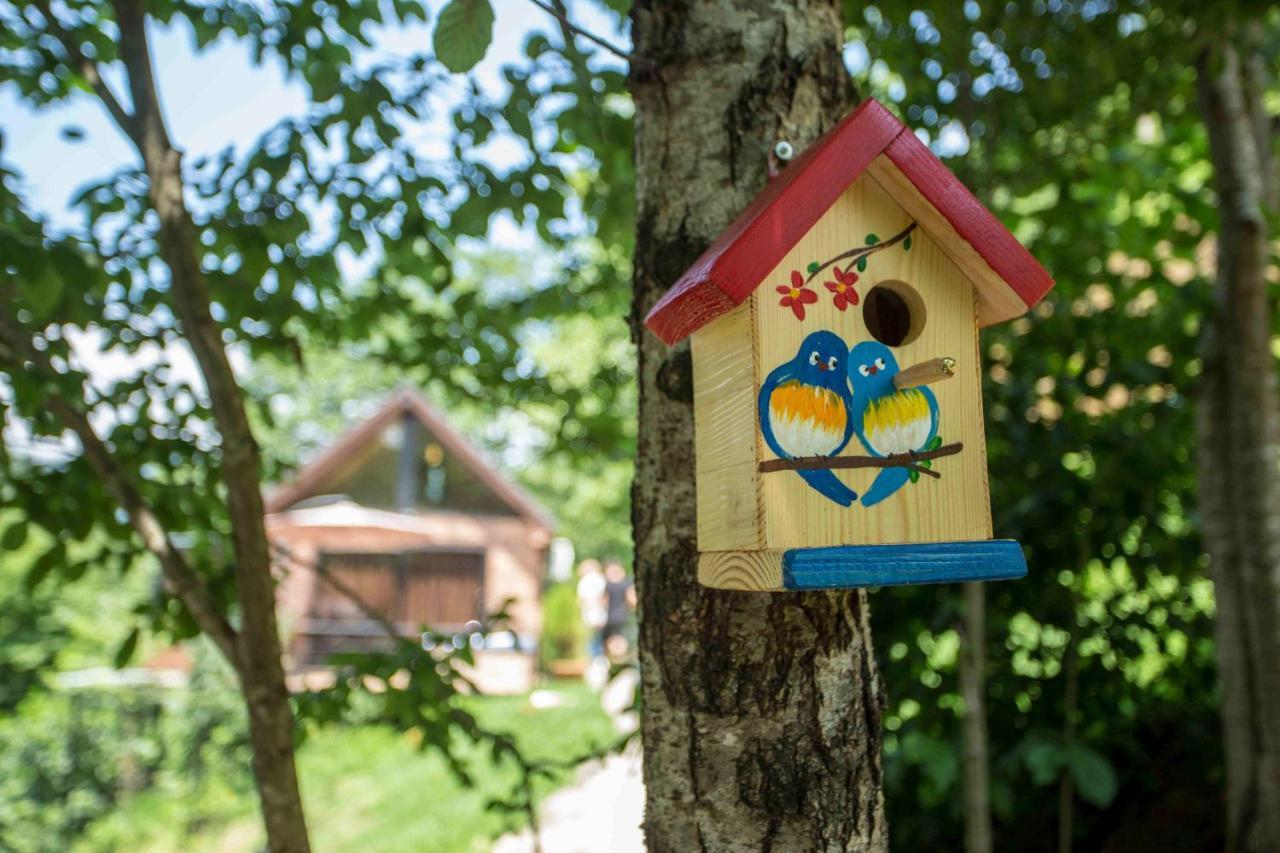 Woodpecker Ვუდფექერი Villa Batumi Exterior foto