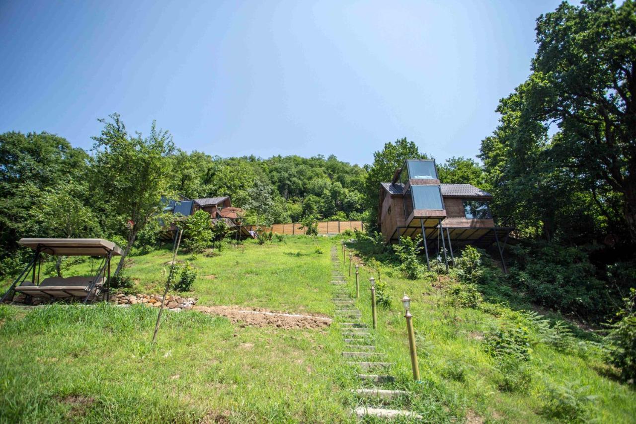 Woodpecker Ვუდფექერი Villa Batumi Exterior foto