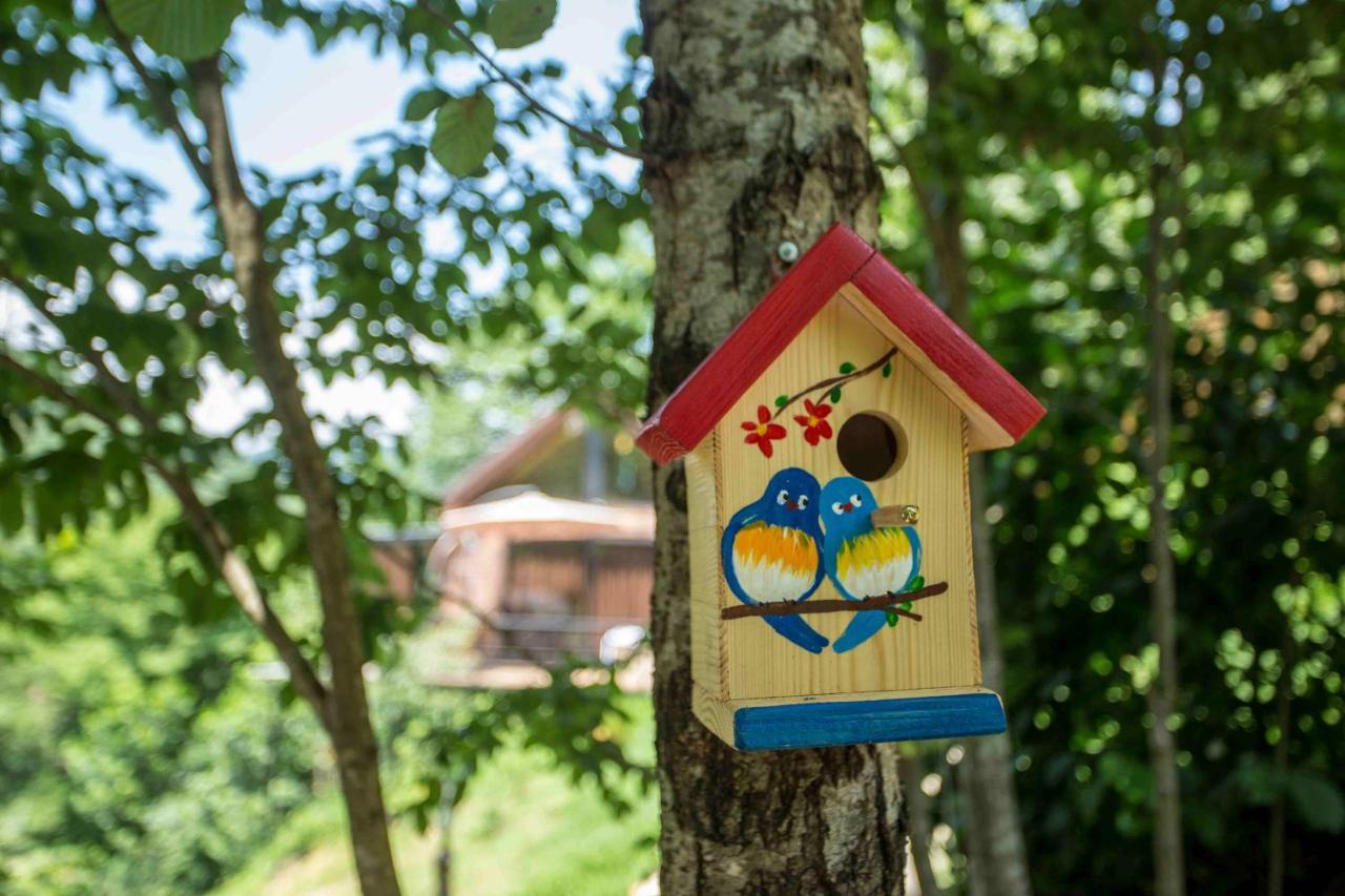 Woodpecker Ვუდფექერი Villa Batumi Exterior foto